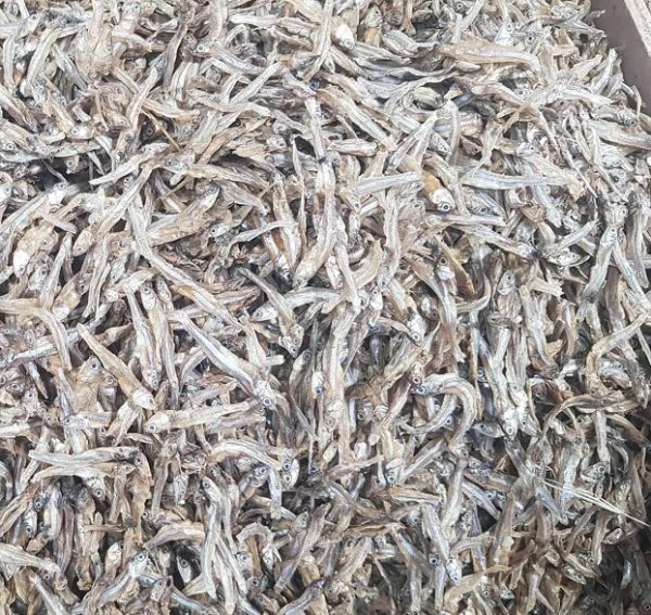 Kaska Fish Dried Fish Kaski – EasyBazar.Co