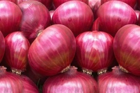 Onion 5Kg ROSE