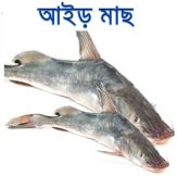 Aair-fish-easybazar-bangladeshi-market-france-free-delivery