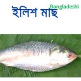 ilish-fish-easybazar-bangladeshi-market-france-free-delivery