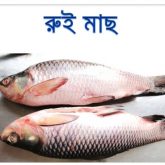 rui-fish-easybazar-bangladeshi-market-france-free-delivery